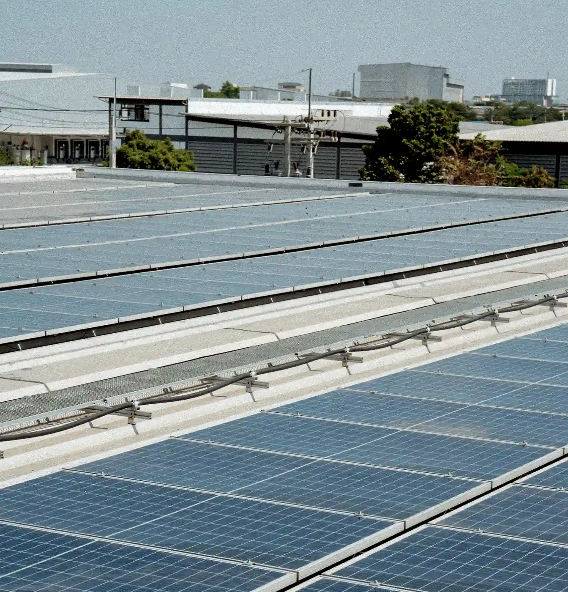 carbon neutral
