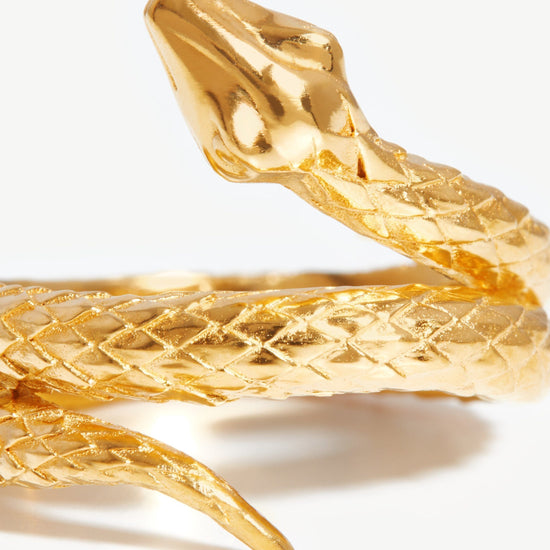 Harris Reed Coiled Serpent Ring | 18ct Gold Plated Rings Missoma
