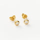 Stud Earrings