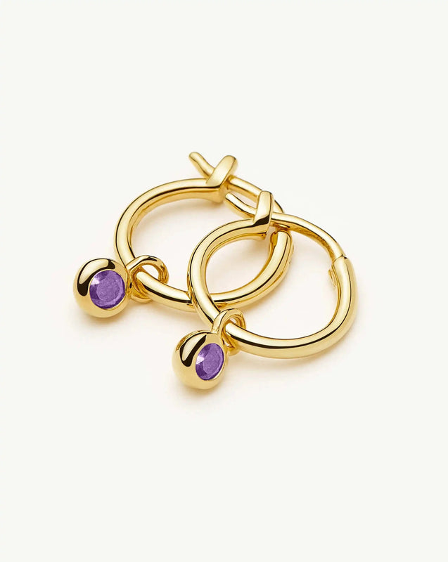 February Birthstone Mini Charm Hoop Earrings | 18ct Gold Plated/Amethyst