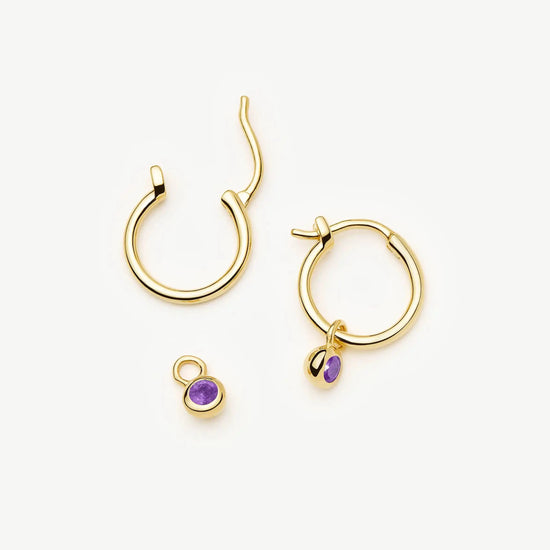 February Birthstone Mini Charm Hoop Earrings | 18ct Gold Vermeil/Amethyst Earrings Missoma 
