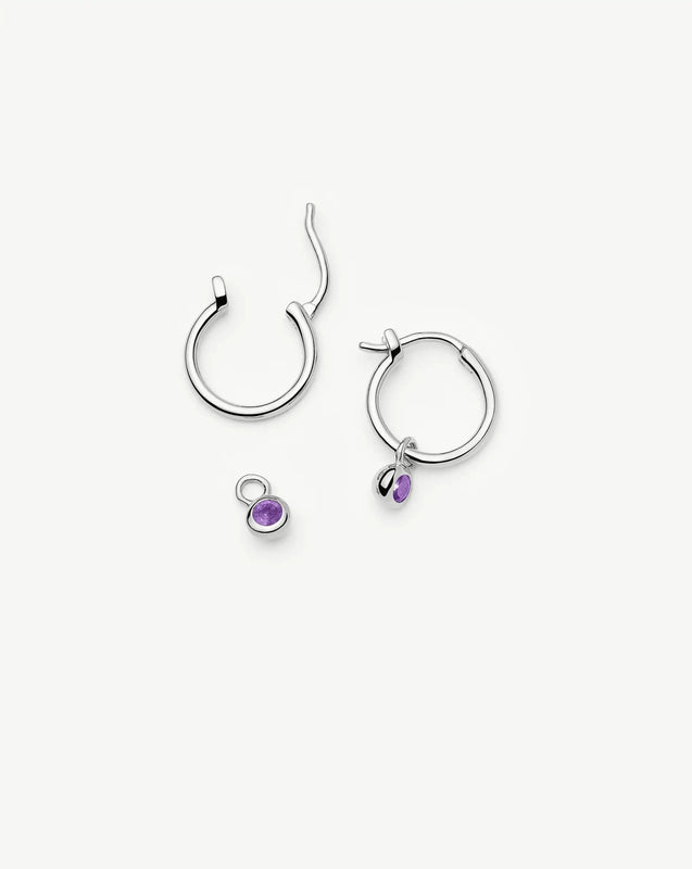 February Birthstone Mini Charm Hoop Earrings | Silver Plated/Amethyst
