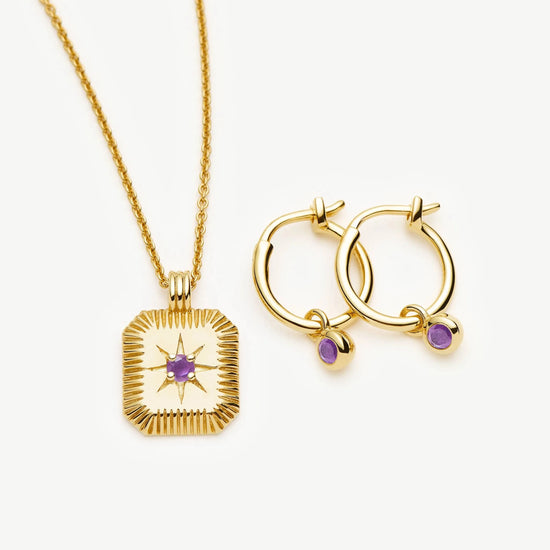 February Birthstone Necklace & Charm Earrings Set | 18ct Gold Vermeil/Amethyst Necklaces Missoma 