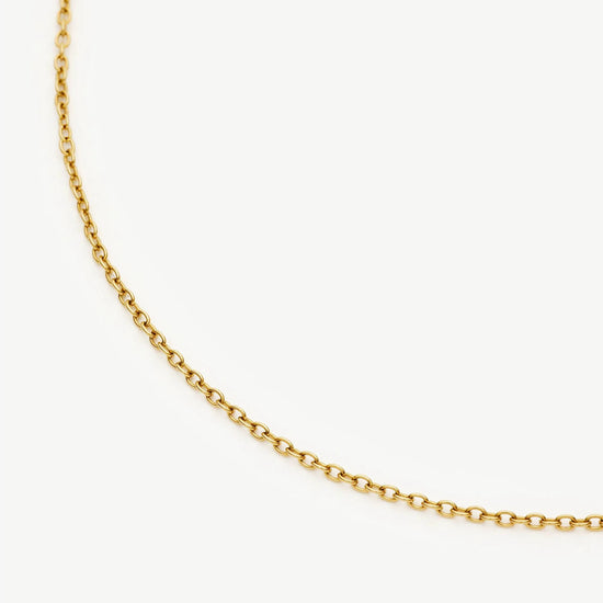 Long Trace Chain Necklace | 18ct Gold Plated Necklaces Missoma 