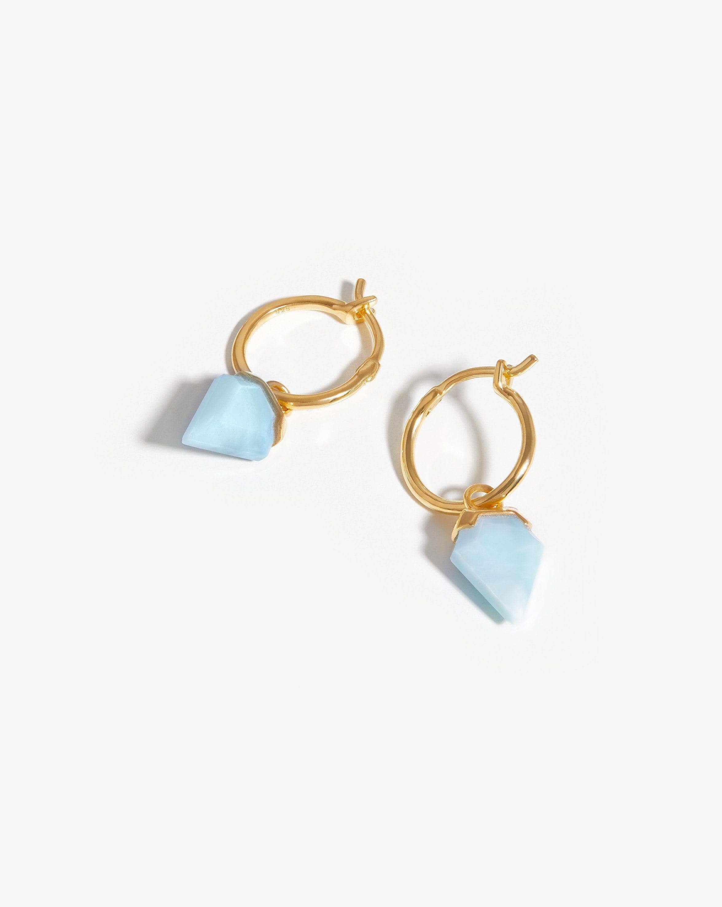 Mini Shield Hoop Earrings Missoma